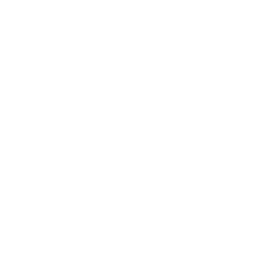 聲光探測（選項(xiàng)）